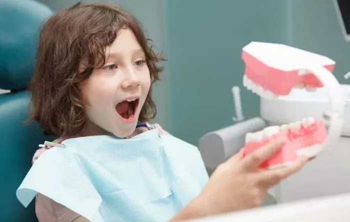 Which Teeth Fall Out at Age 10? Anatomy and development of the mouth